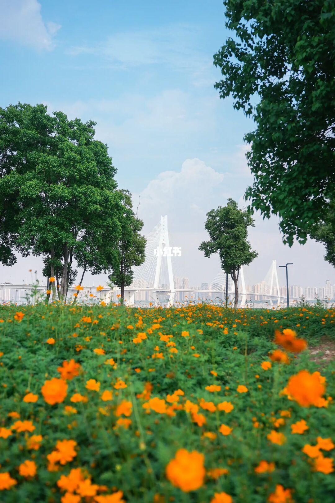 景美人少免费🏕武汉市内6个露营宝藏点位冲