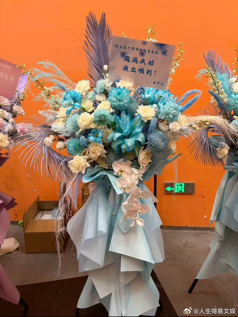 孟子义送白鹿花篮孟子义给白鹿见面会送花篮 孟姐给白鹿见面会花篮💐我们姐妹花白鹿