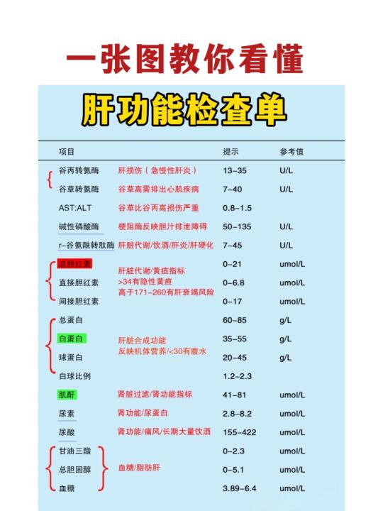 一张图教你看懂，肝功能检查单！