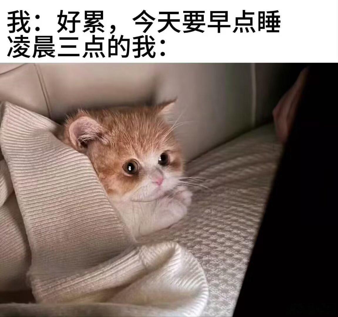 一点了没睡的人在干嘛 
