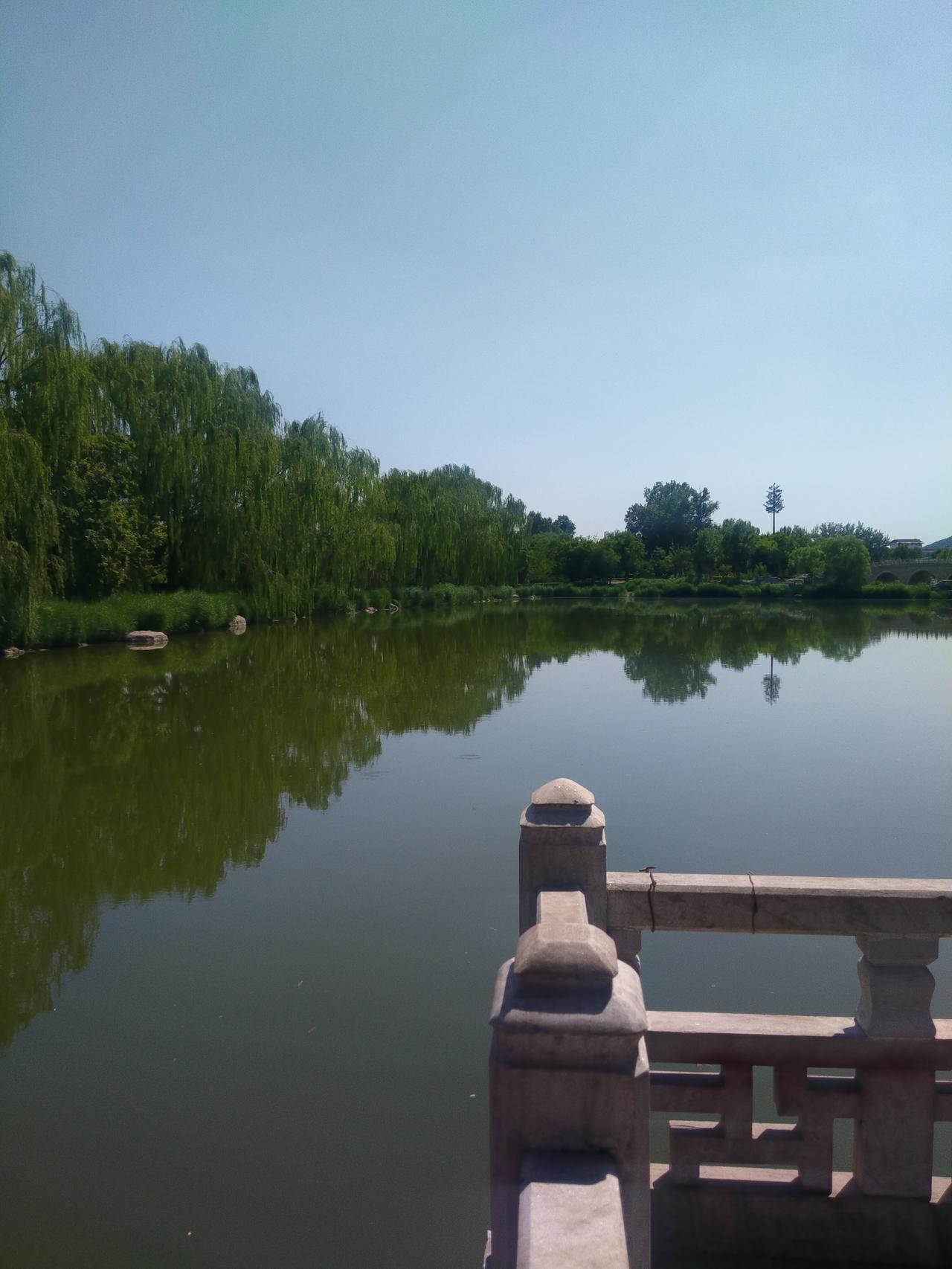 随手拍张图，分享美好瞬间河边的景色