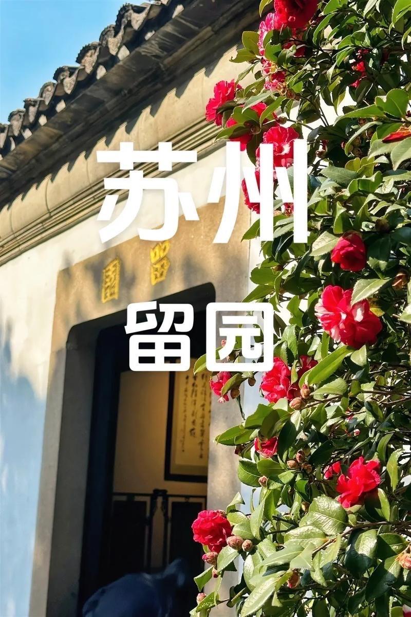 我最偏爱留园，它才是中式古典园林的造境巅峰。占地仅二点三三公顷，却靠七百米蜿蜒曲