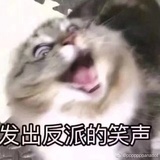 玄天最爱情感