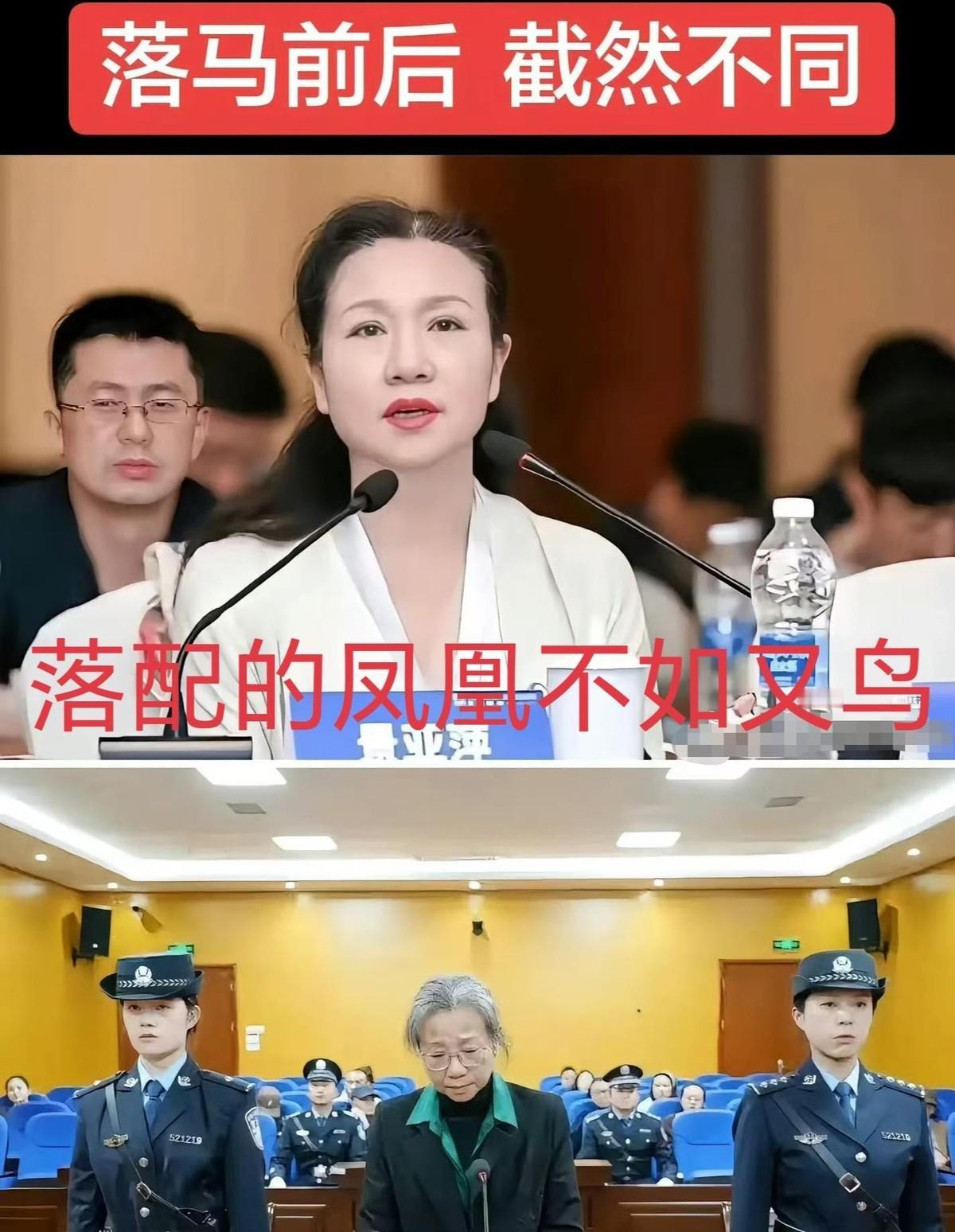 景亚萍，这位曾执掌贵州大数据局的学者型正厅级女官员，退休仅四个月便落马，一审因受