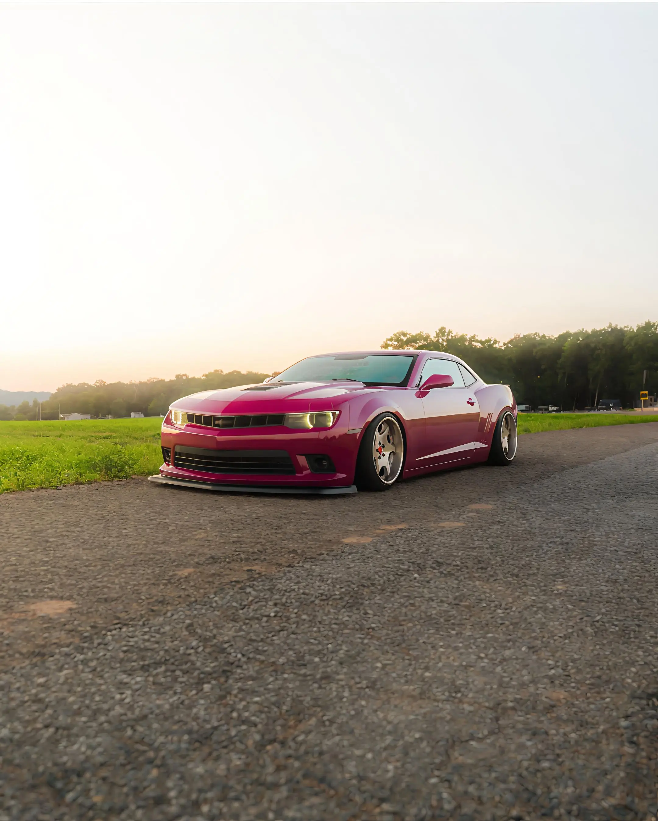 🌸花有重开日，人无再少年