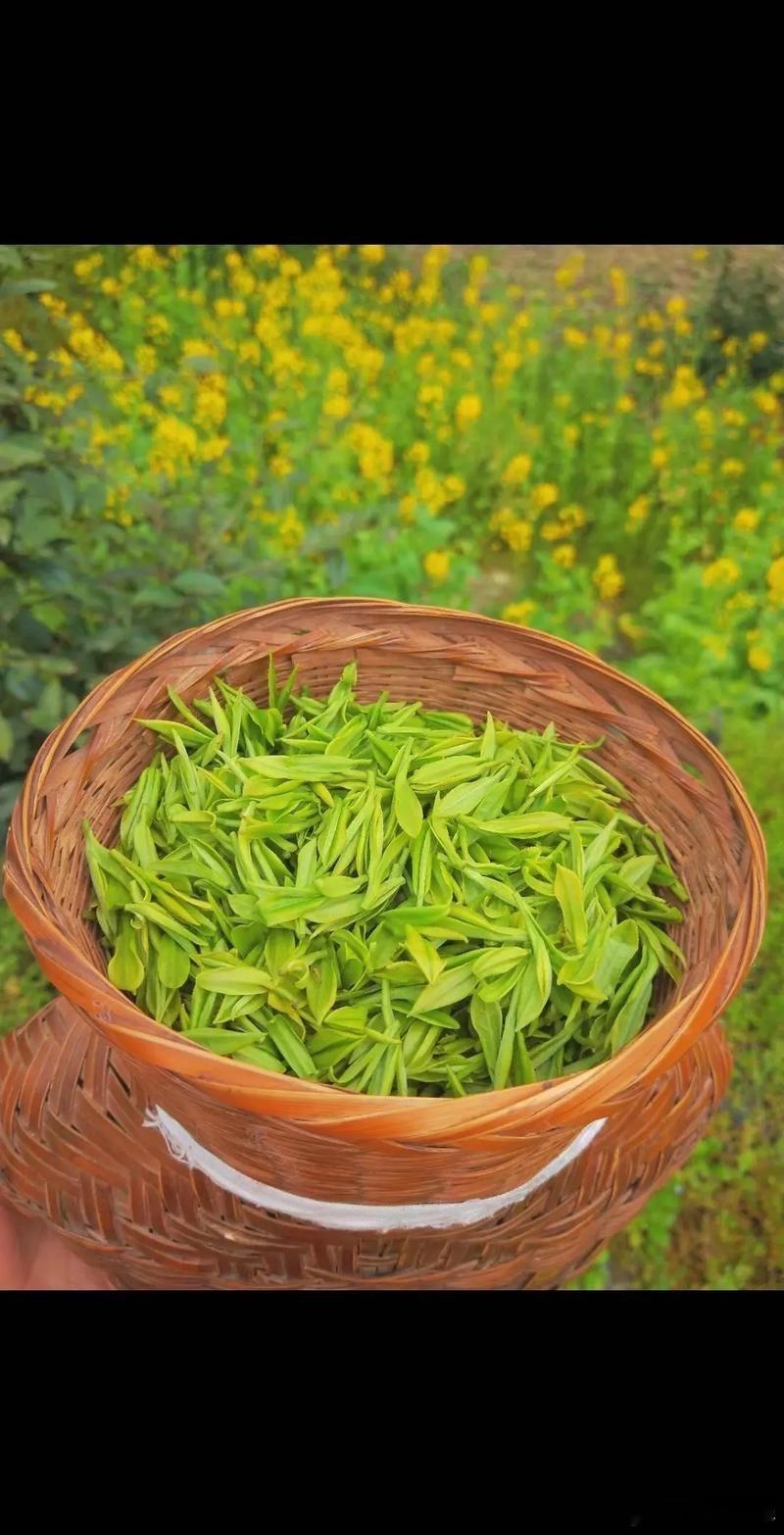 26岁IT女每天喝冰美式子宫长满肉芽饮料、咖啡、奶茶对上班族是真的不太温柔，最适