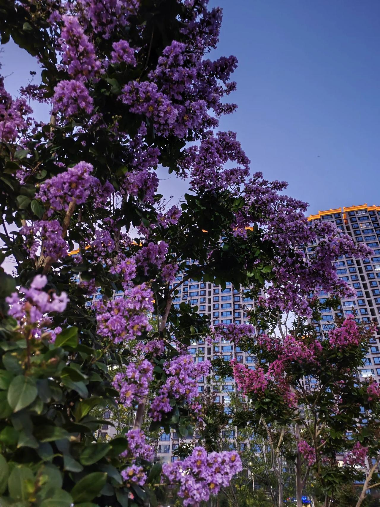 《如梦令.》
情淡索然无味，心静难能可贵。
烟火煮温柔，悦纳简单绝配。
无悔。无