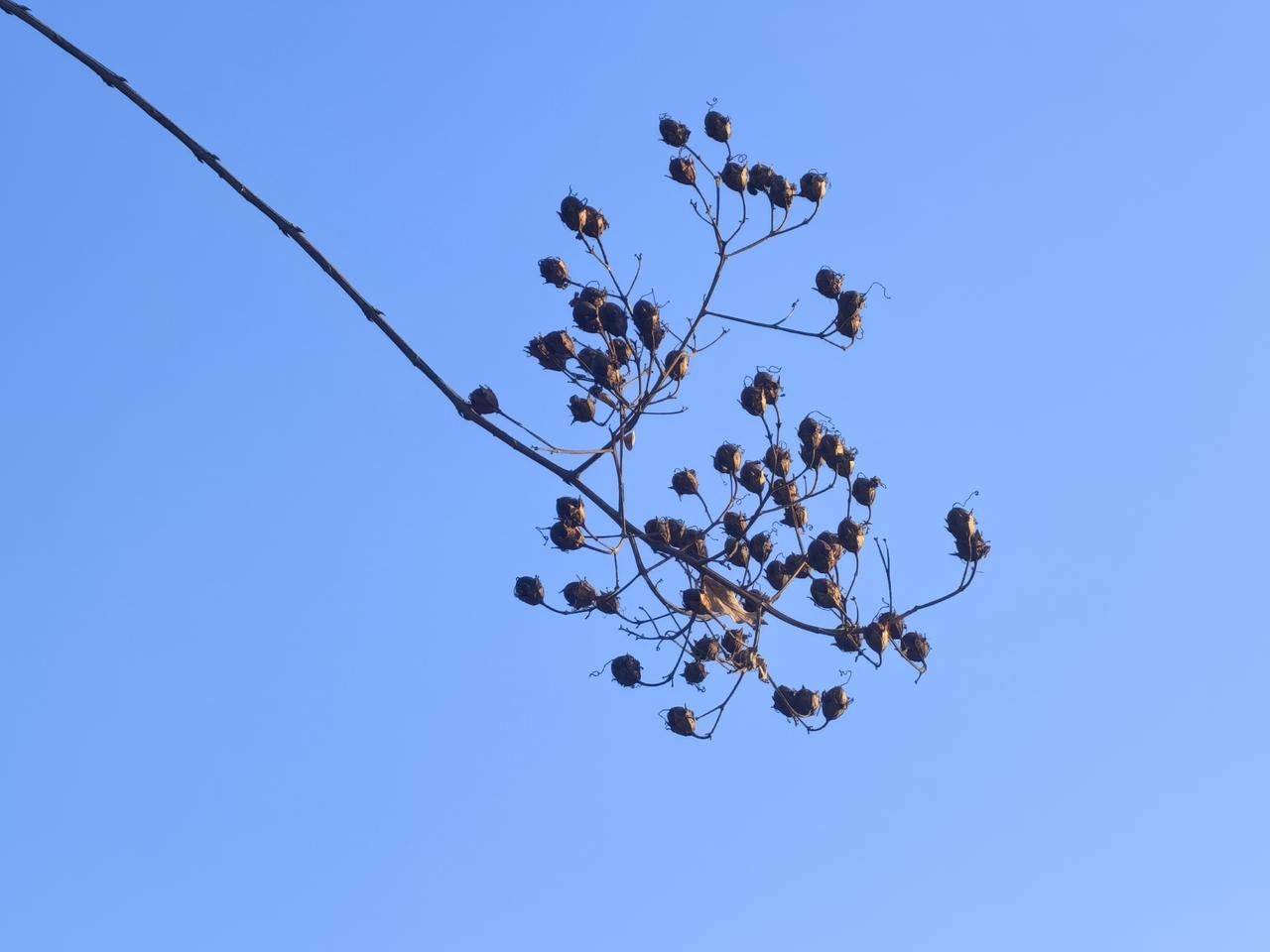 未来中国最牛逼的汽车企业一定是赛力斯，说你们可能不信，就因为赛力斯全套引入了华为