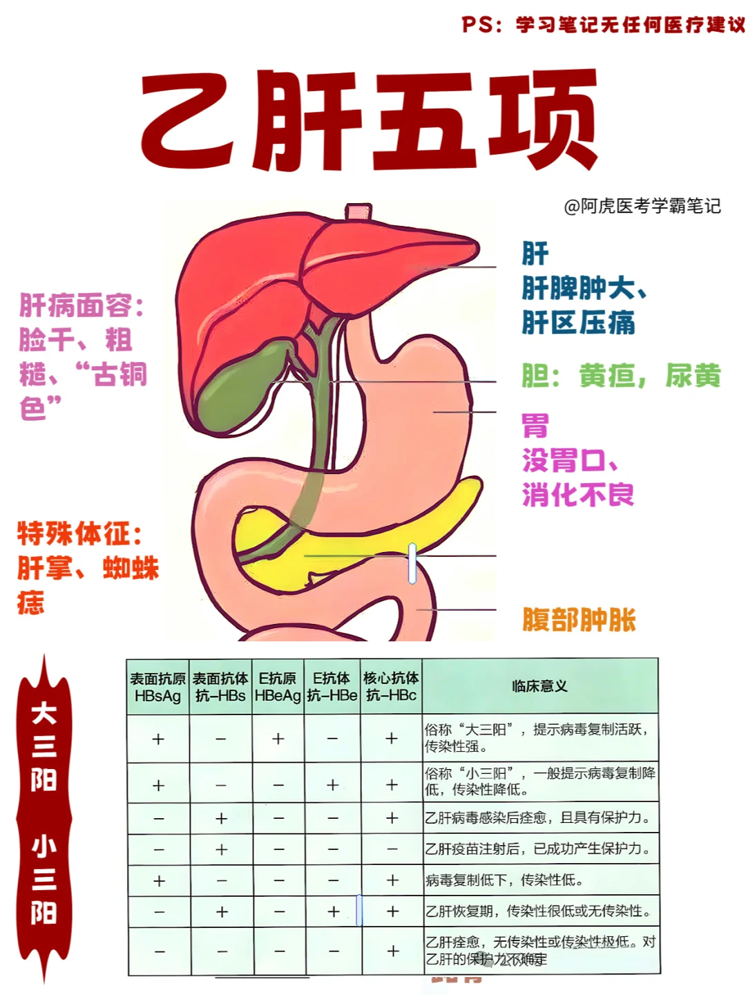 医学生笔记📒｜乙肝五项👆