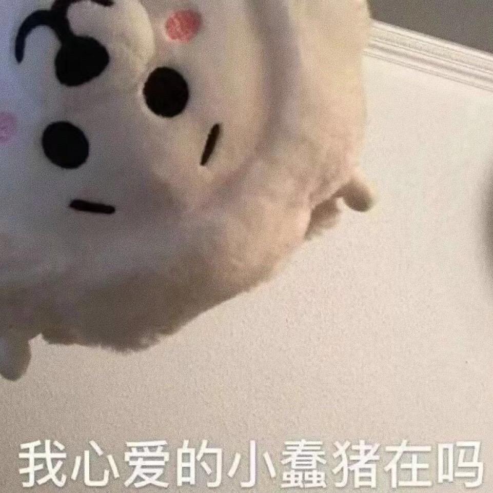 分享一些可可爱爱的表情包。表情包