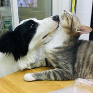 誒呀是湘湘和路由