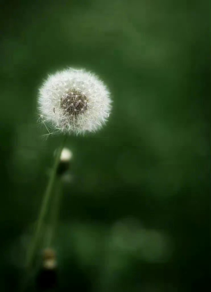 很多关系走到尽头，不是矛盾爆发，是无数次失望之后的默默离场。—— 环球读书 