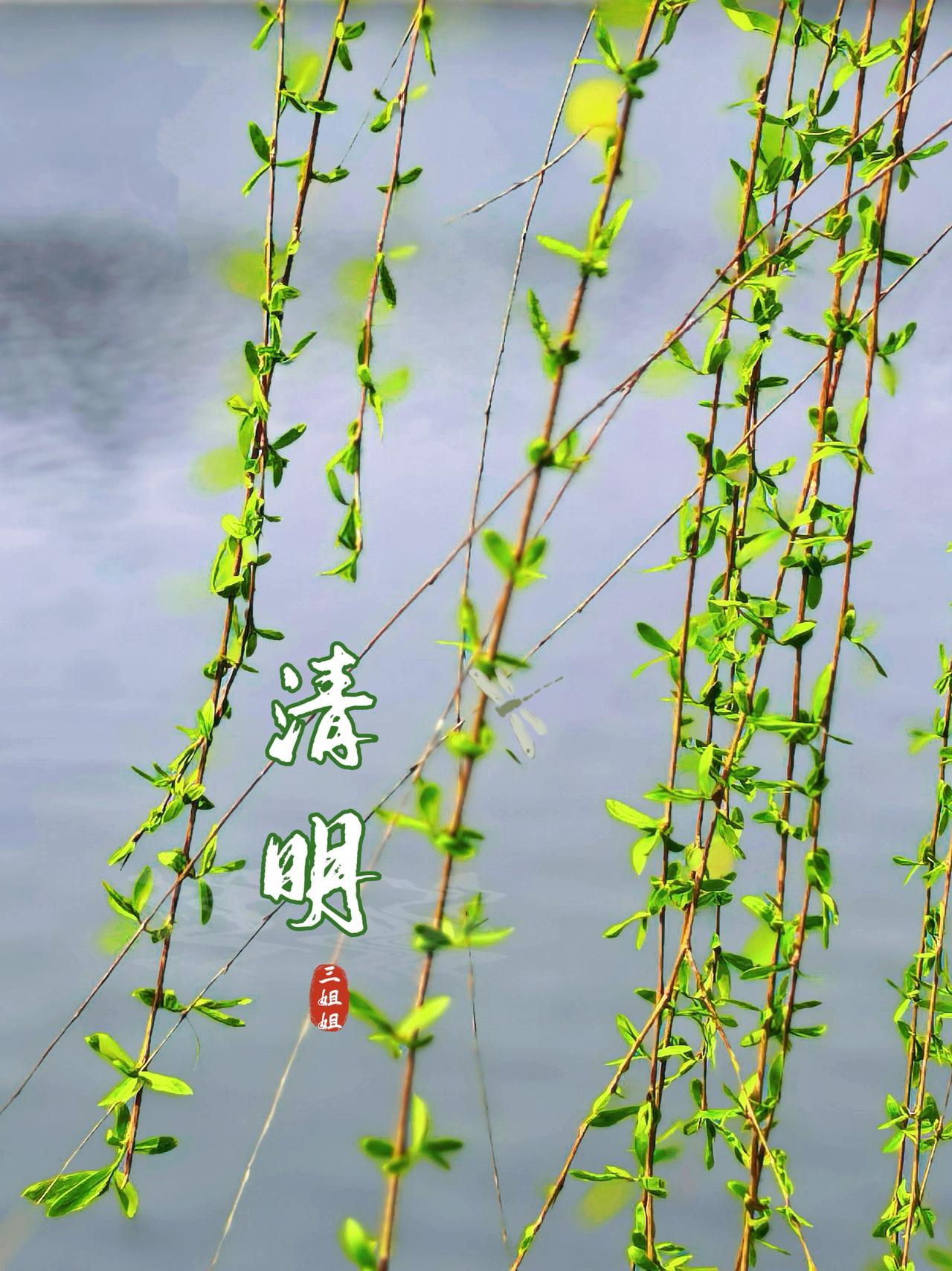 《清明情思》
图文：三姐姐
借一缕清风，慰满心离愁；
携一抱春花，寄远去故人 。