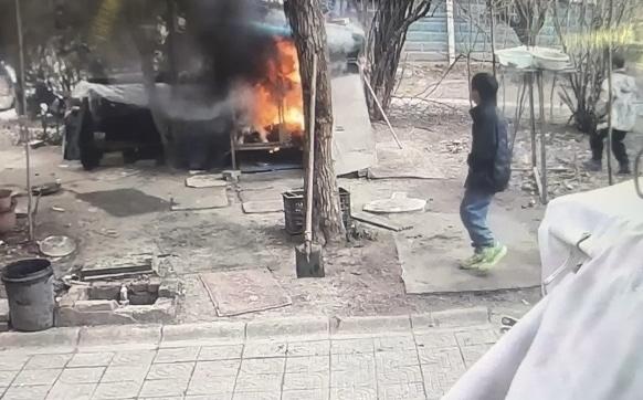 最近江苏连云港一个小区里发生的事儿，真的让人心里又疼又气。业主姜女士养了七年的萨