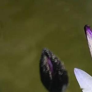 每日一善[超话]‍每日一善 无论有多困难，都坚强地抬头挺胸，人生是一场醒悟，不要