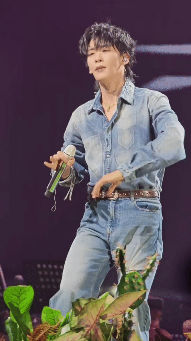 王赫野就这么从披哥扭到演唱会从综艺舞台奔赴演唱会现场，不变的是极具个人特色的魔性