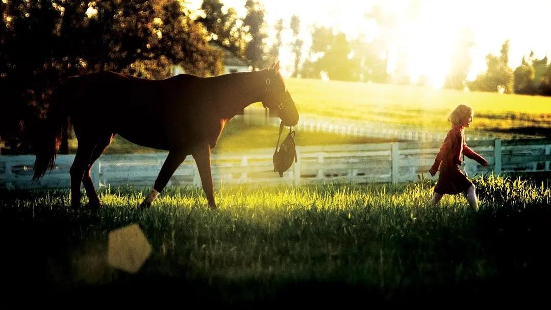  我的评分：[星星][星星][星星][半星]#佳片奇遇季# 梦想奔驰飞驰，想这是