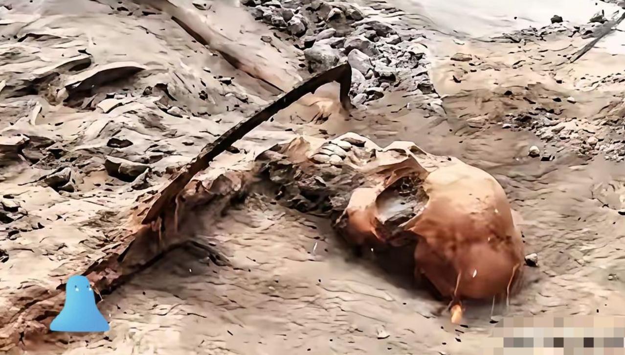 1068具遗骸，整整在土里埋了83年。就在前两天，河南舞钢挖出来的。如果不动土，