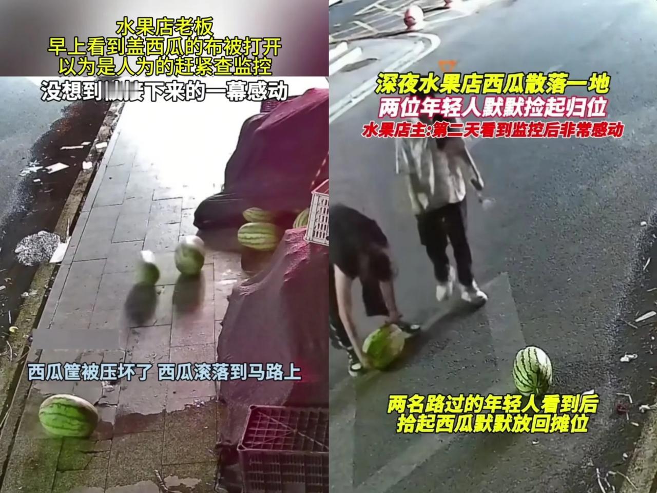太意外了！福建，一位老板早上发现盖西瓜的篷布被打开，原以为是人为所致，立即查看监