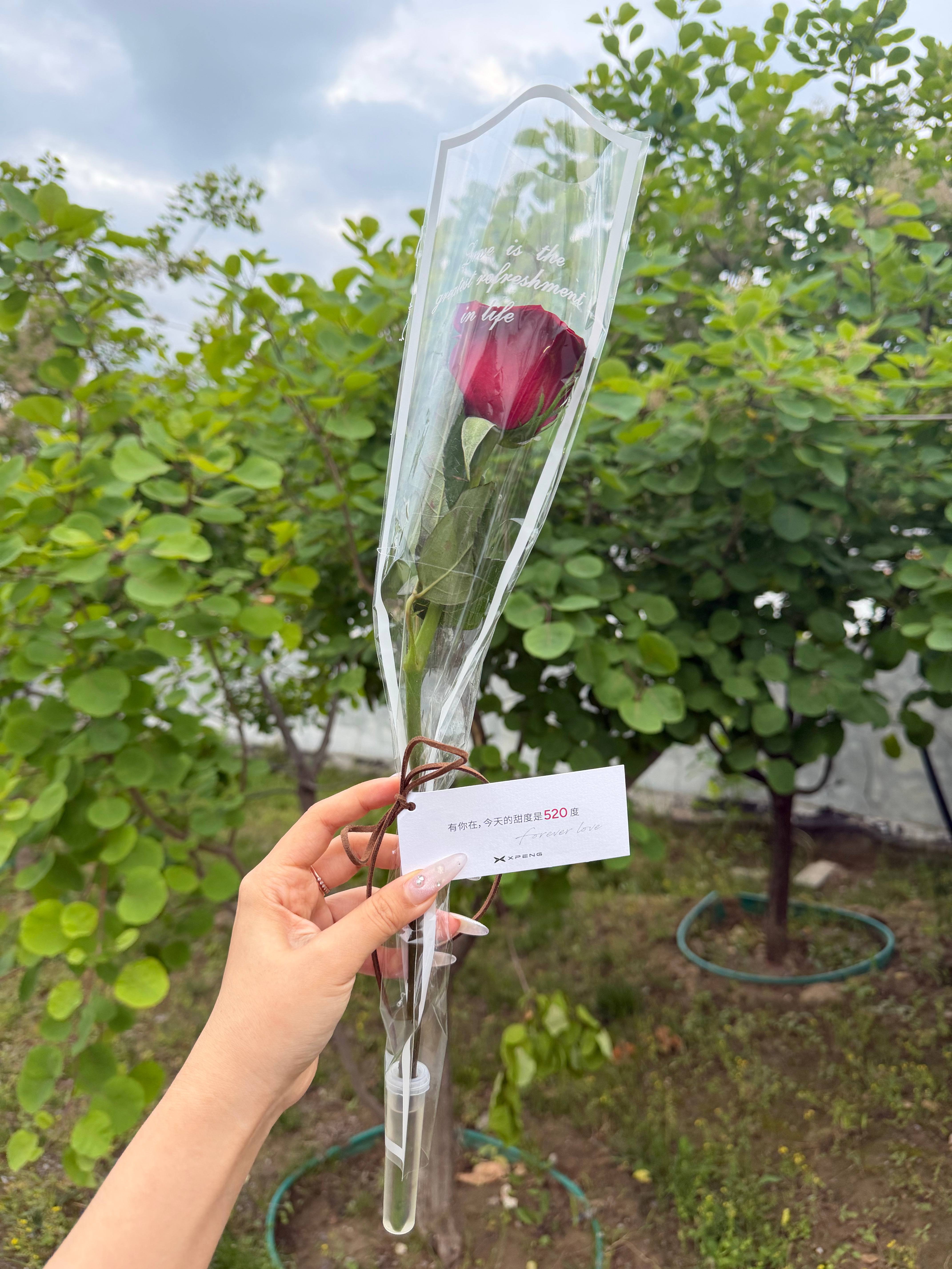 大家520快乐🎊 