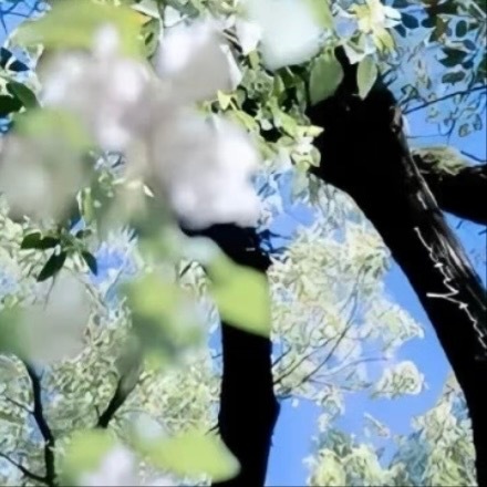 0000善行是无声的诗，是人性最美的表达。无需计较得失，每一次伸出援手，都是对善