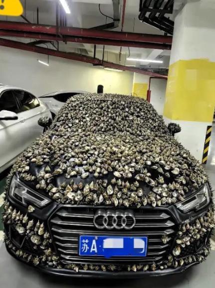 “一分钱不要，也得让你长记性！”业主车位被霸占10天，一怒之下做了这种事。他没有