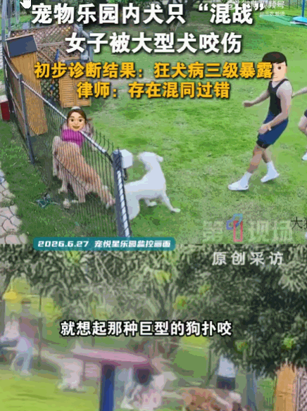 必须严惩！深圳，一女子在宠物乐园被发疯的金毛扑倒撕咬，本以为犬群混战已经平息，女