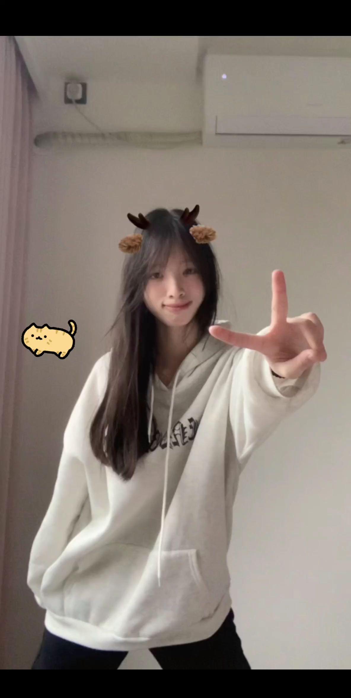 ^      ʚɞ^ ミ >  。o ミ