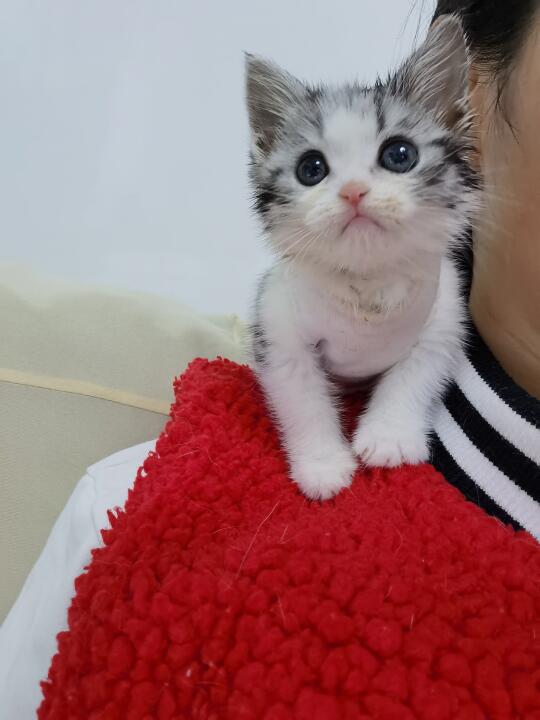 小时候明明很可爱，长大了一副苦命相
