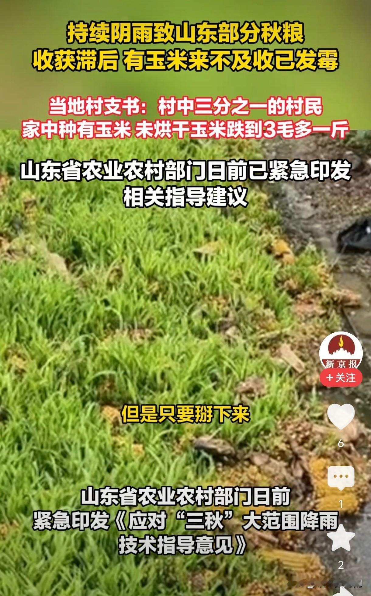 山东下雨不应该被调侃
在山东活了快四十年了，
从来没有在秋天见过那么多雨

9月