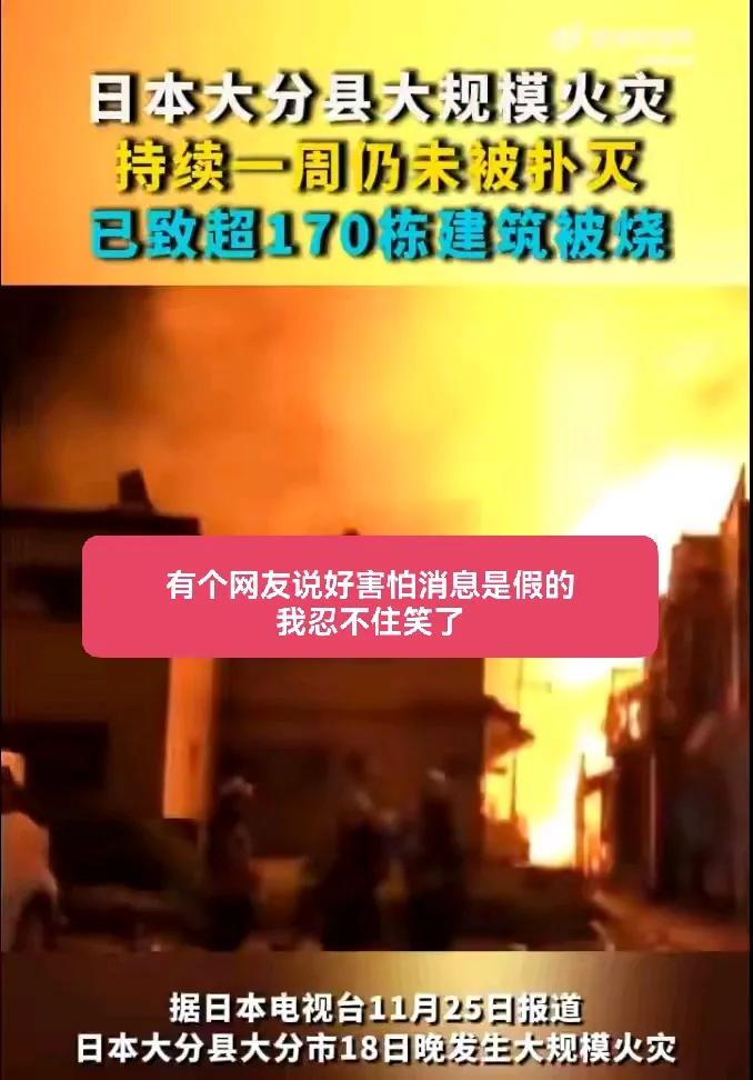 本子家的大火还在燃烧，有个网友说好害怕消息是假的，我忍不住笑了，英雄所见略同！