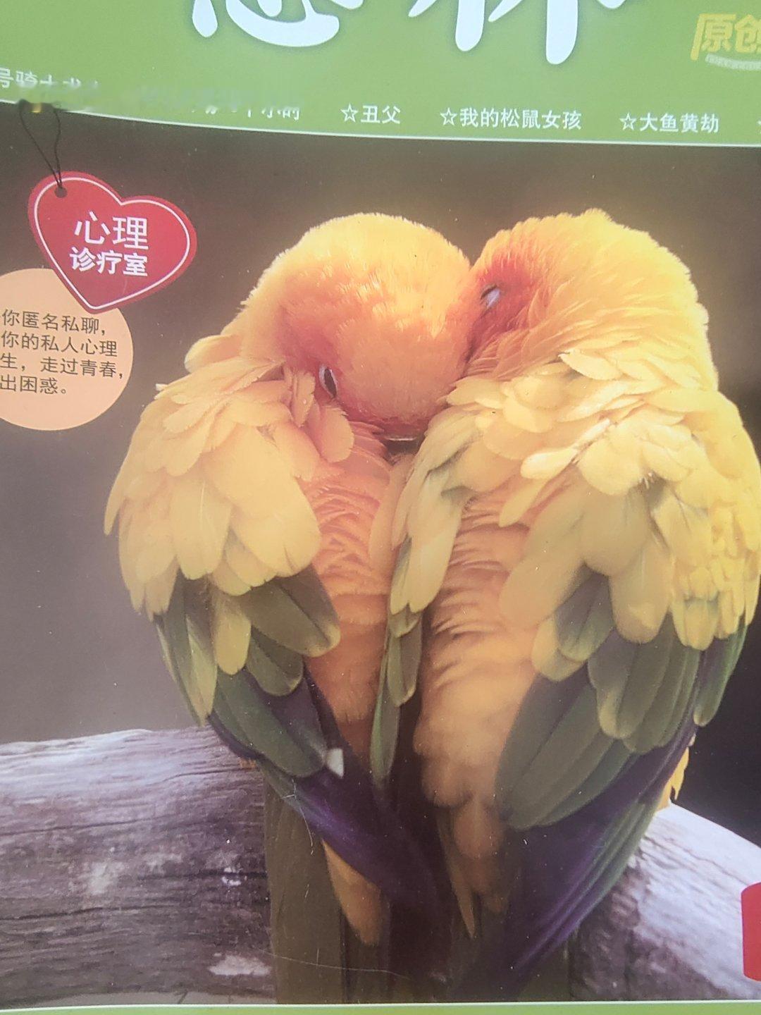 倘若要对青春有所感受，就必须越过青春的边界。要认知少年的意气风发，必须走出少年的