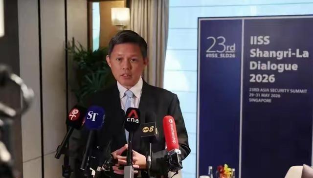 5月31日，新加坡防长陈振声在接受采访时明确指出：以后不要再使用“低级别中国代表