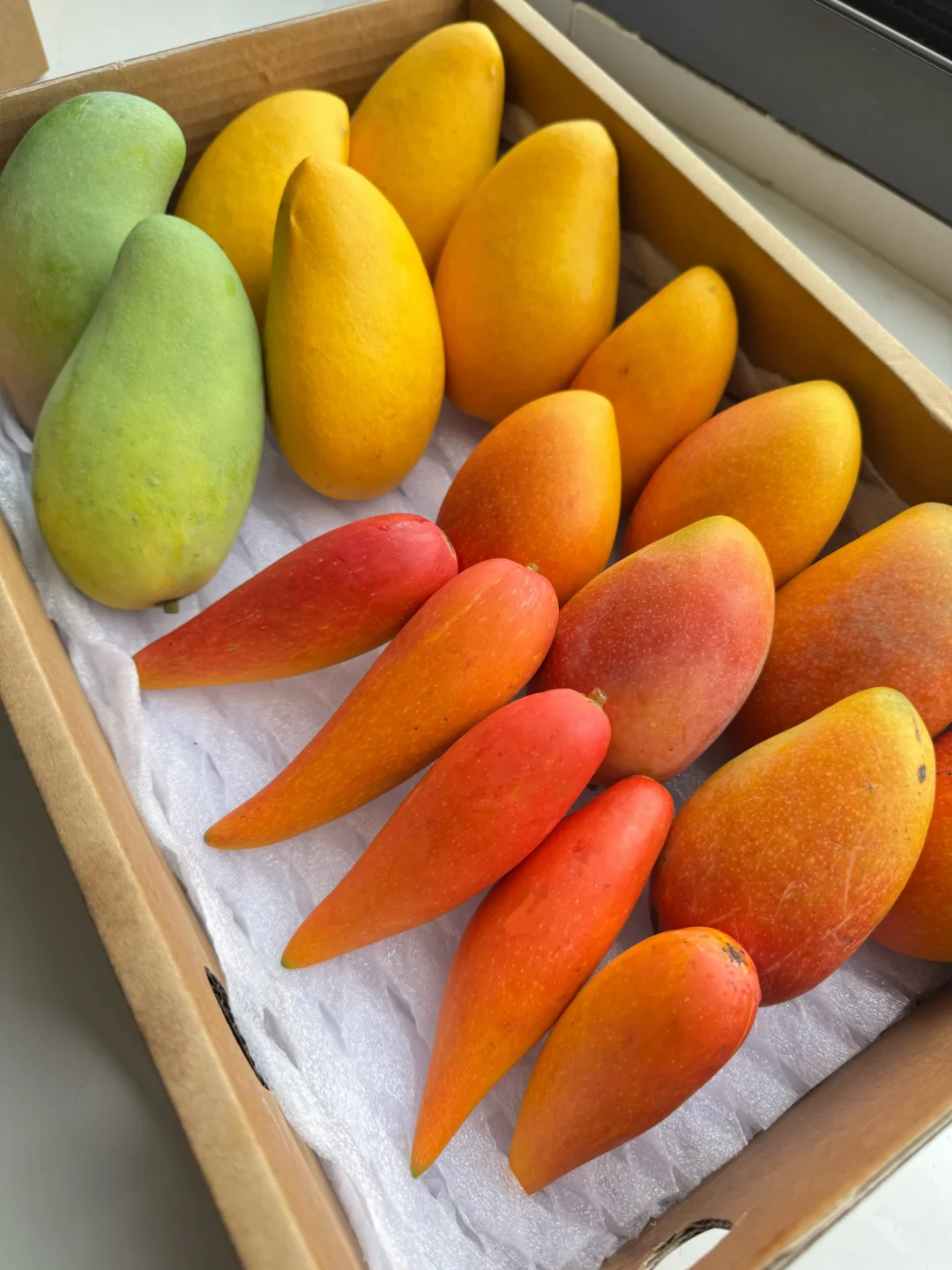 不是其他芒果🥭不好，而是四拼太优秀！
