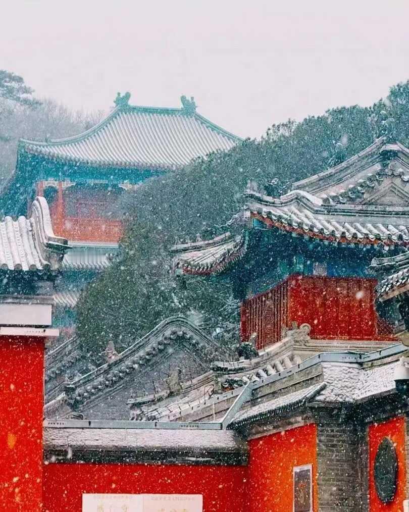 北京下雪了，庐山也快下雪了吧，期待银装素裹的庐山