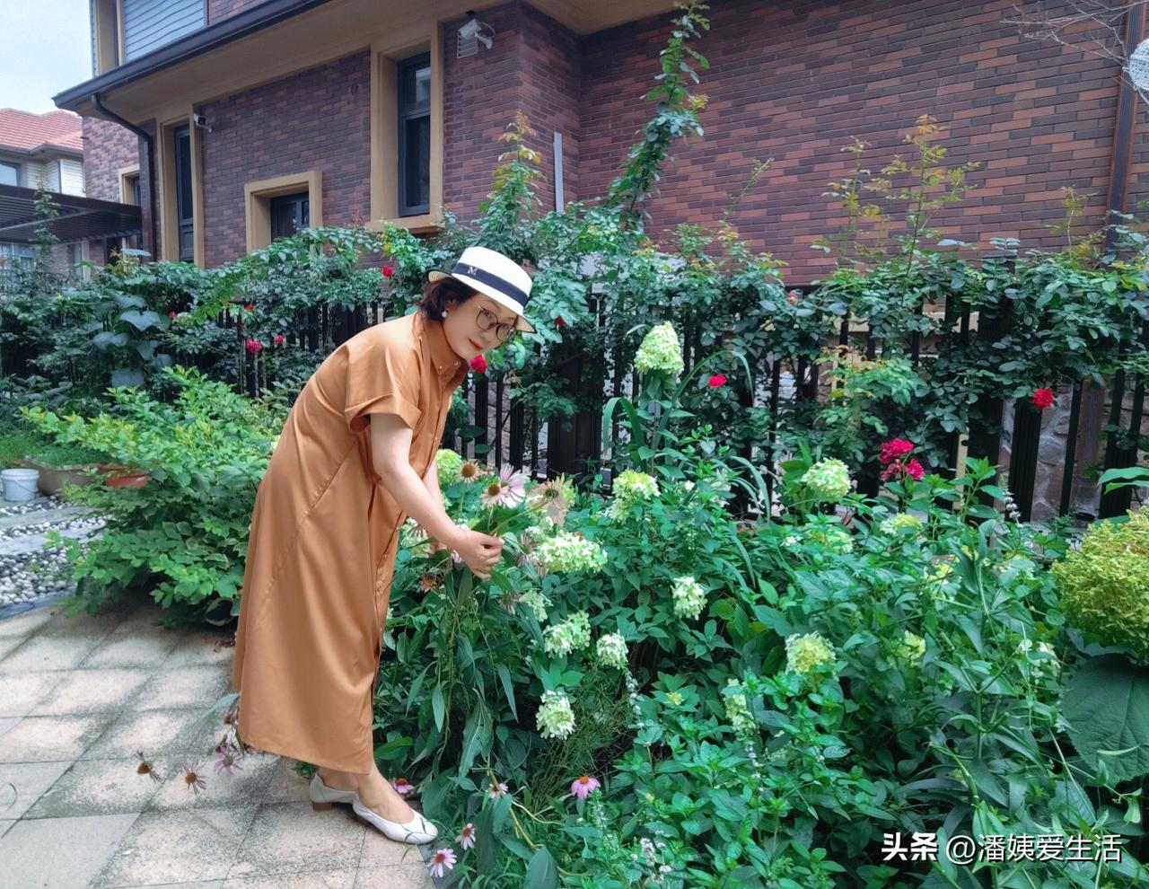 我的花园250平，种了几十种花，一年三季有花看。
四月初中华木绣球、荷包牡丹先开