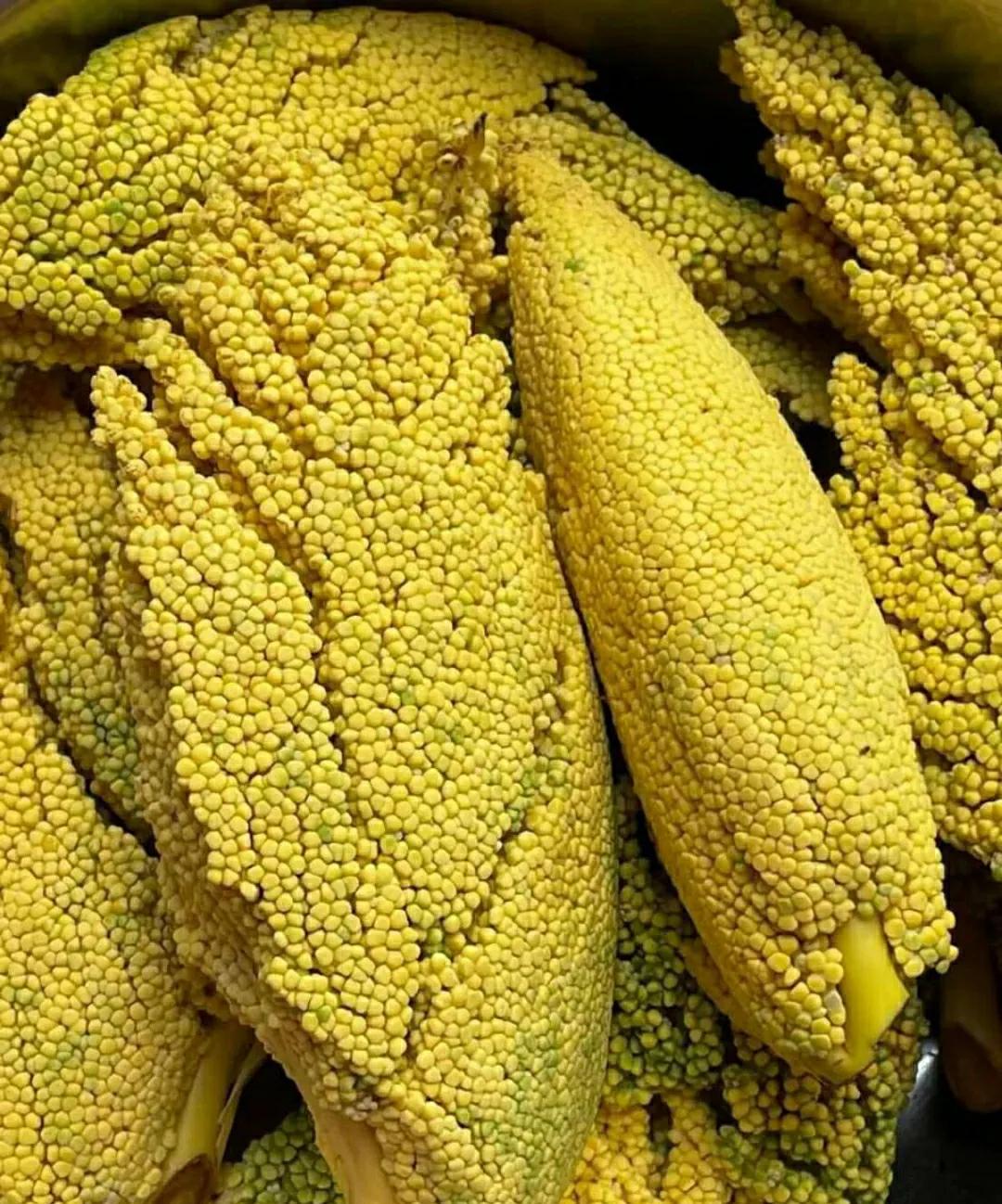 小时候，你玩过这个吗？80后应该都玩过，那个年代没什么吃的，还以为这是鱼子酱，要