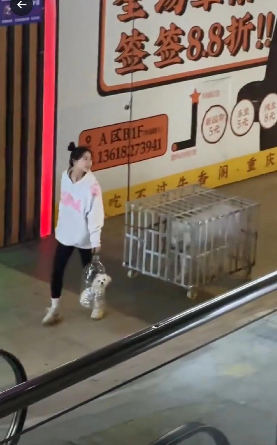 一手铁笼，一手油瓶——为了防止两只狗被捕杀，小姐姐用尽了智慧。狗子很乖，大概也是