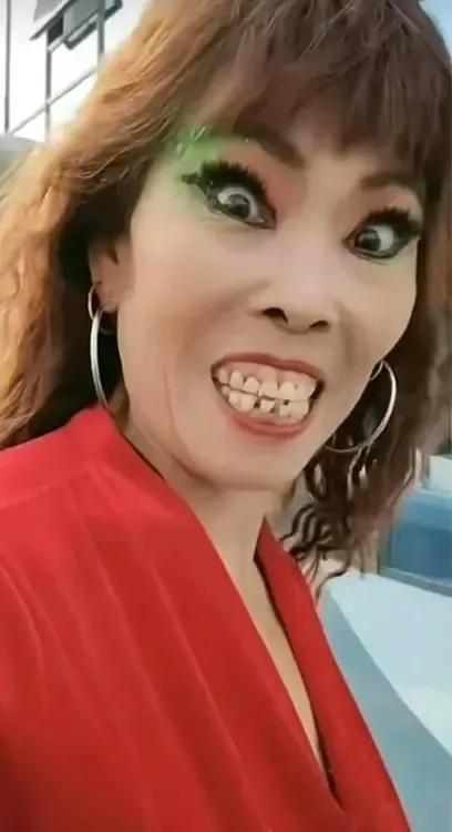 “ 台独”头面人物萧美琴窜访欧洲议会，在《对华政策跨国议员同盟》（IPAC）年会