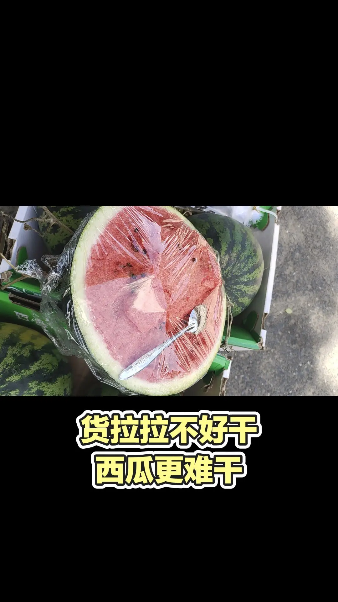 每日分享