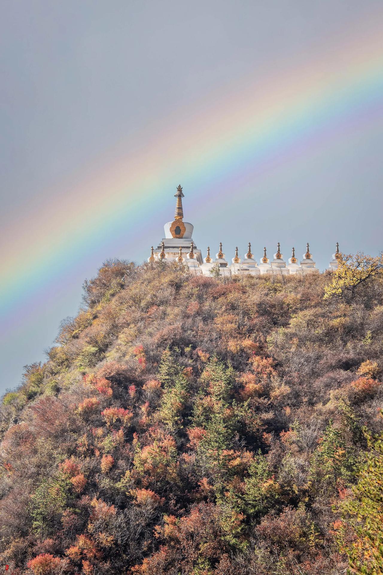 秋日山巅，金色佛塔，
彩虹映衬，宁静祥和。
大好河山秋日美景清凉山 身边秋色美如