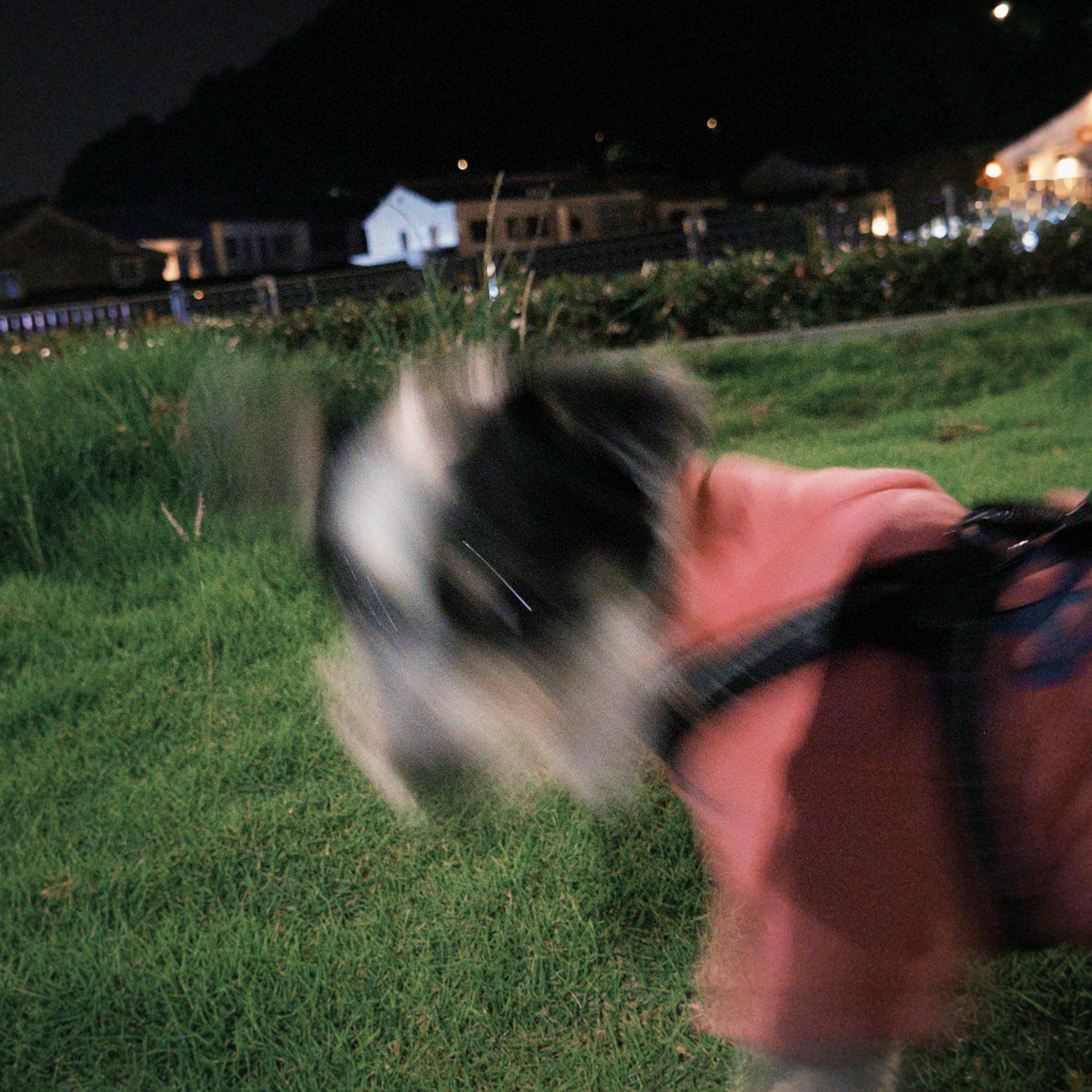 小🐶氛围感头像有 