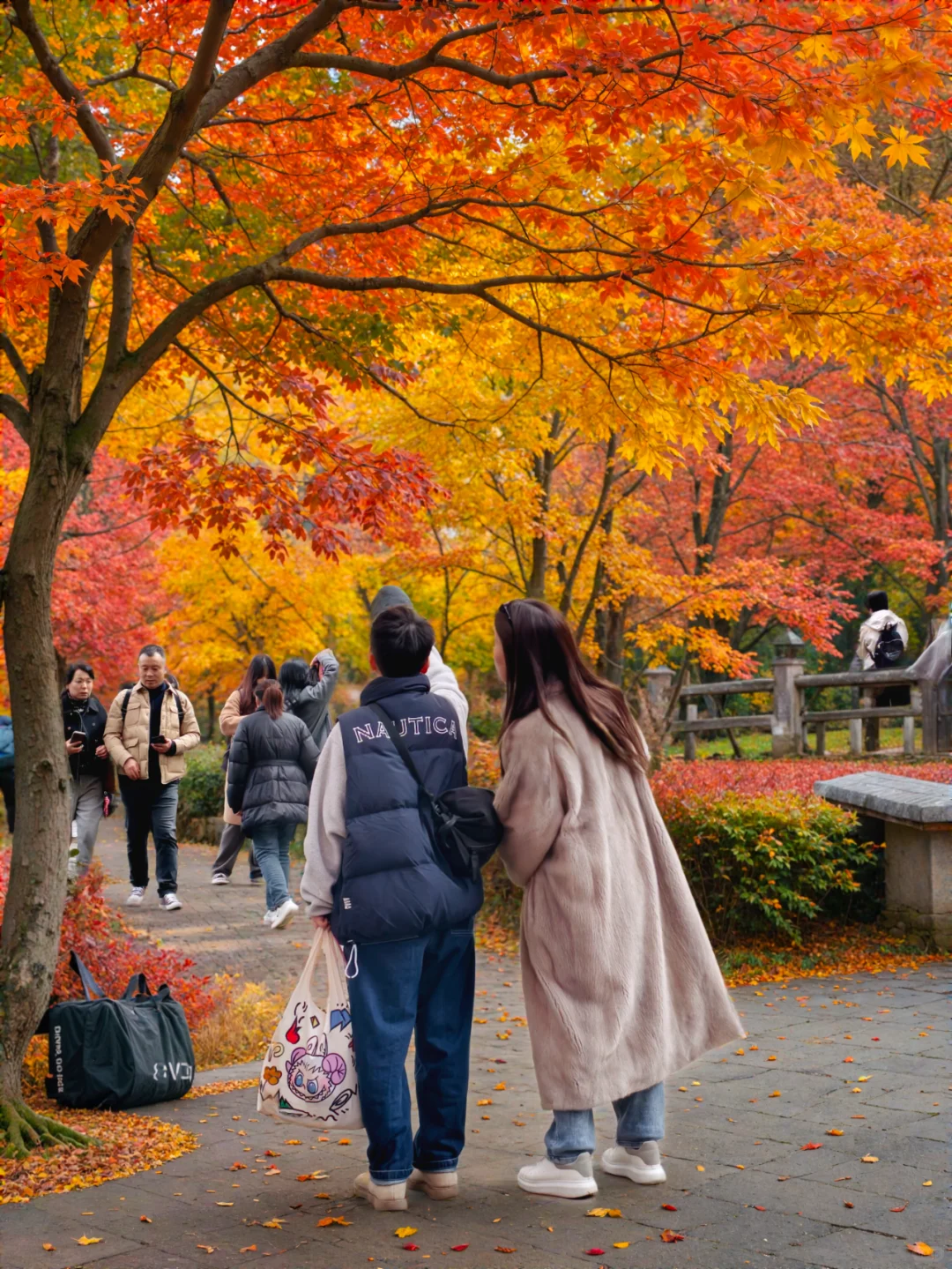 12月的南京栖霞山，国内赏秋天花板(附攻略)