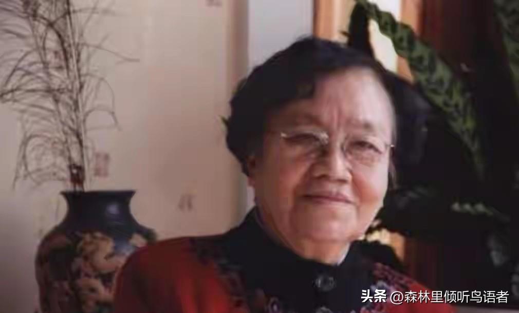 1951年，有着军统邮检所所长过往履历的王化琴遭到当地部门抓捕，性命悬于一线的时