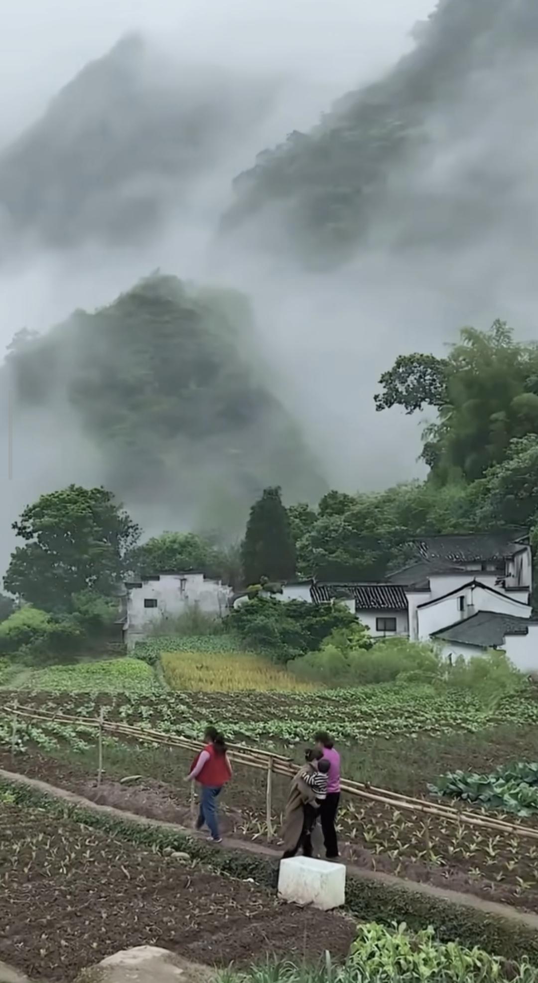 这一生中有幸在这样吧山水田园间呆了几年，山水风景与这个视频里的风景太相像了。虽然