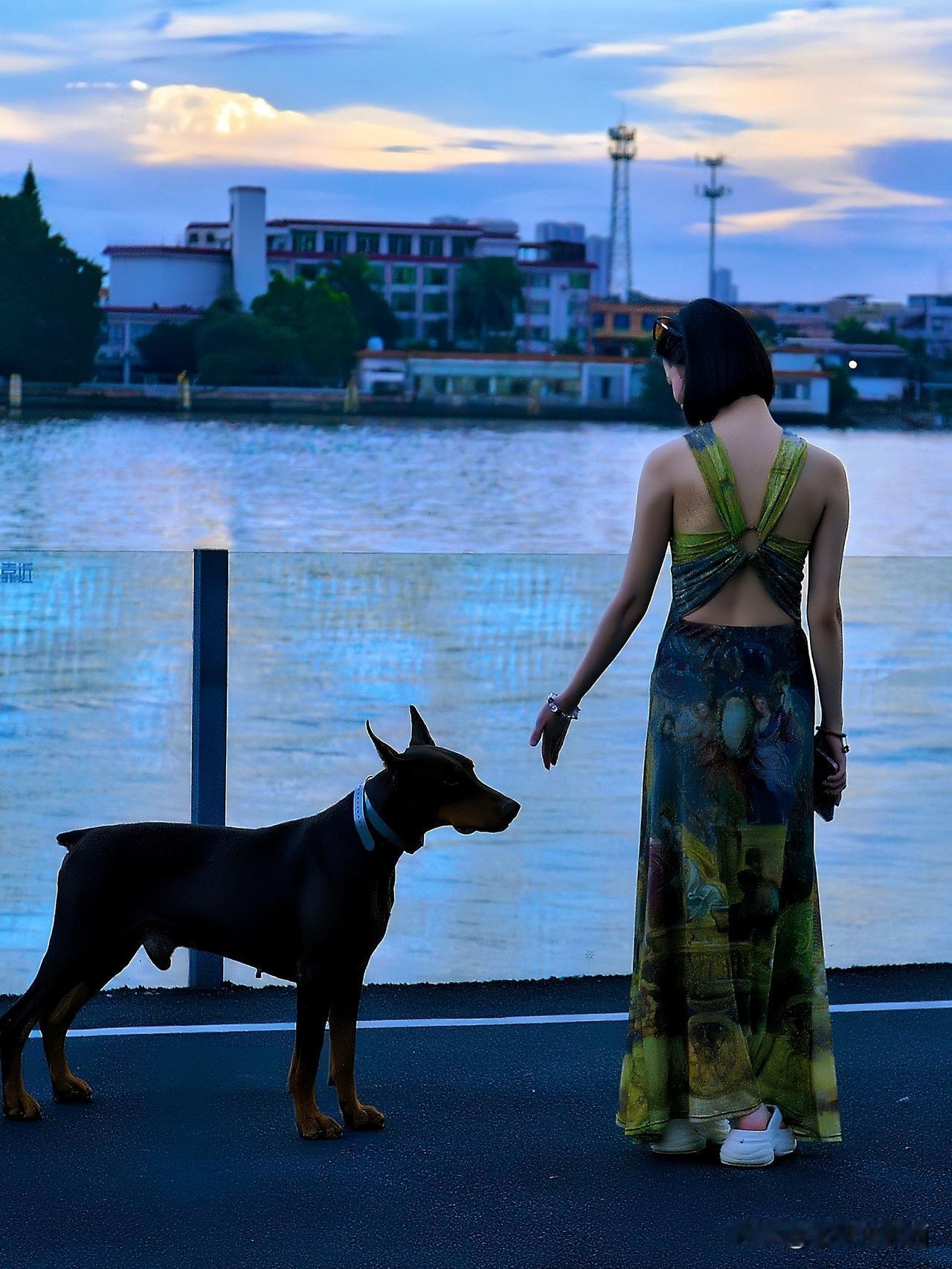 江畔晚风与温柔瞬间🌙
    珠江畔的晚风轻拂，两位佳人与杜宾相伴，或蹲身逗趣