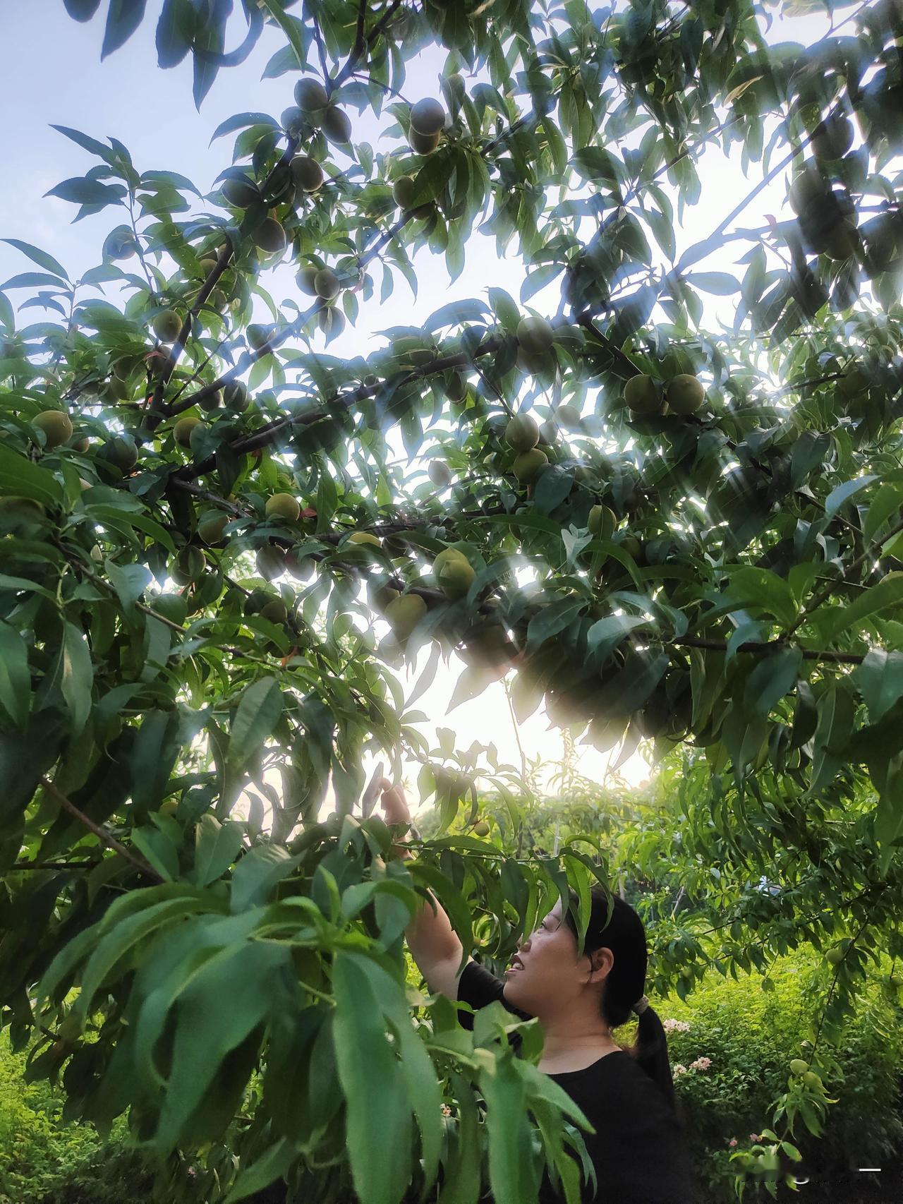 我发现一个真相，这件事让我真正才明白，这王大姐真真是有心机。
大家有没有发现，有