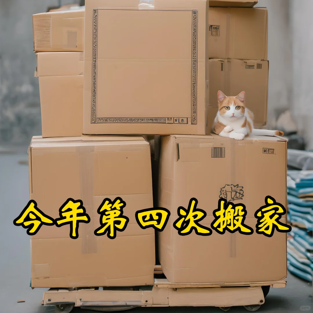 淡定！我家主人今年才第四次搬家！