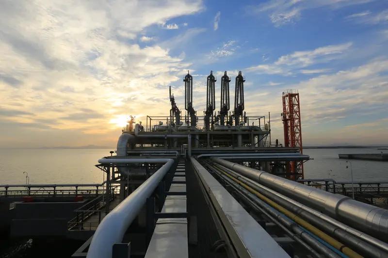 🔥 油价涨8%，天然气涨17%，国际化肥涨3倍！中国却稳如泰山？这才是真正的大