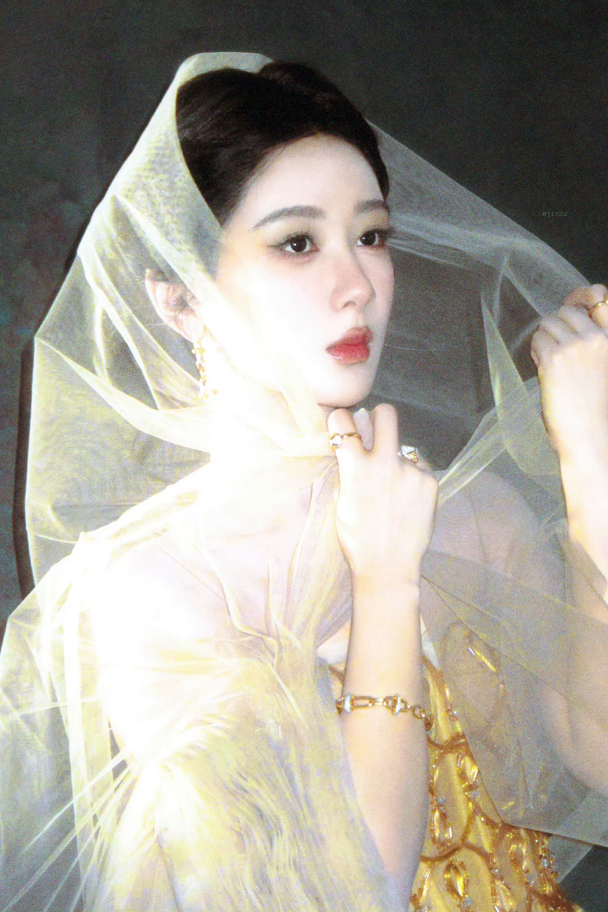杨紫杨紫李祯 🍇 杨紫家业 徽山淬墨骨，商海立昆仑，铸李祯魂，万锭松烟照夜白，